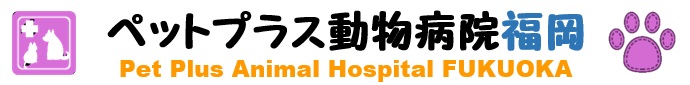 ペットプラス動物病院福岡