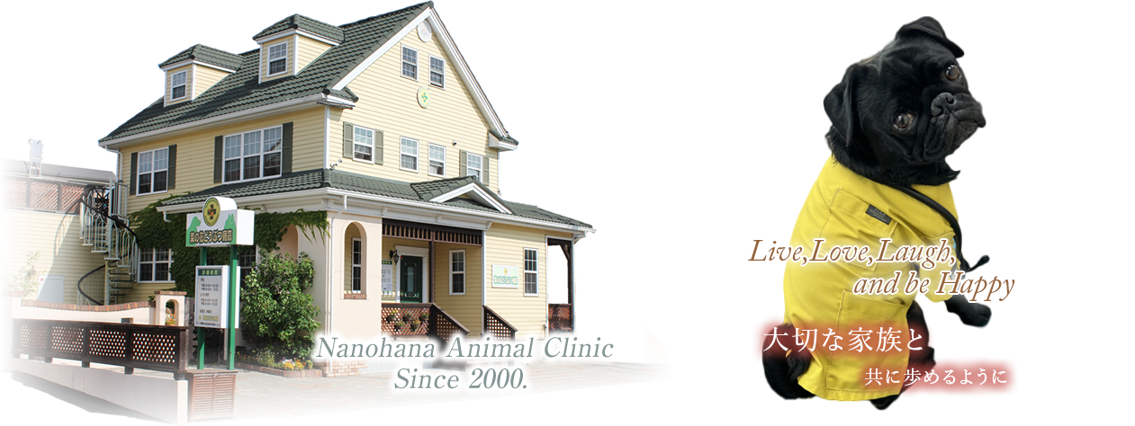 菜の花どうぶつ病院