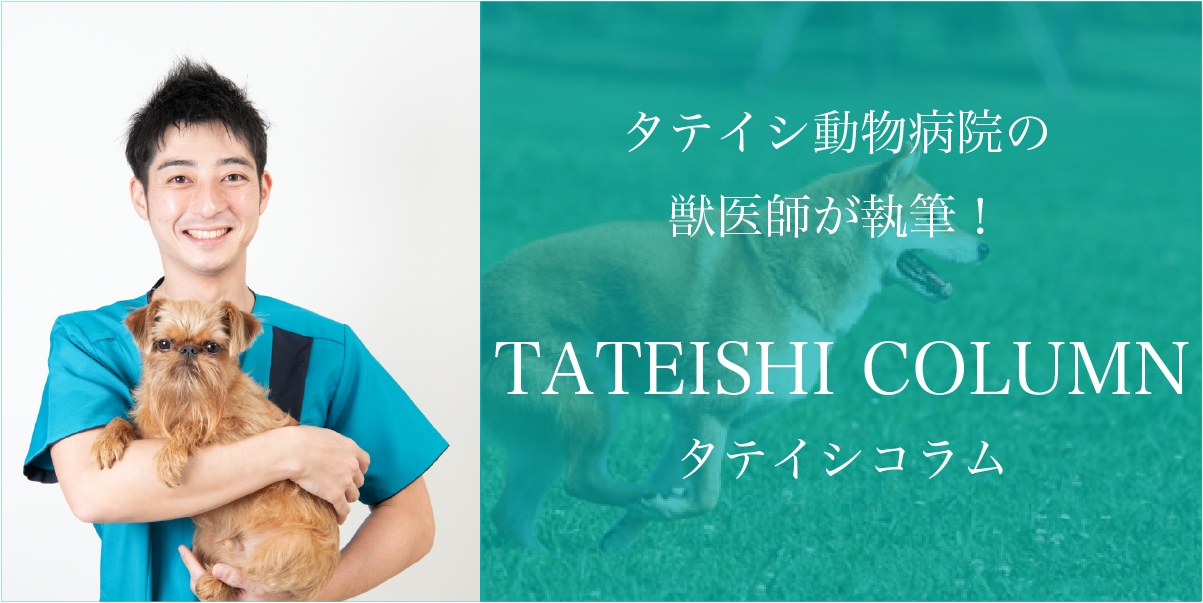 タテイシ動物病院