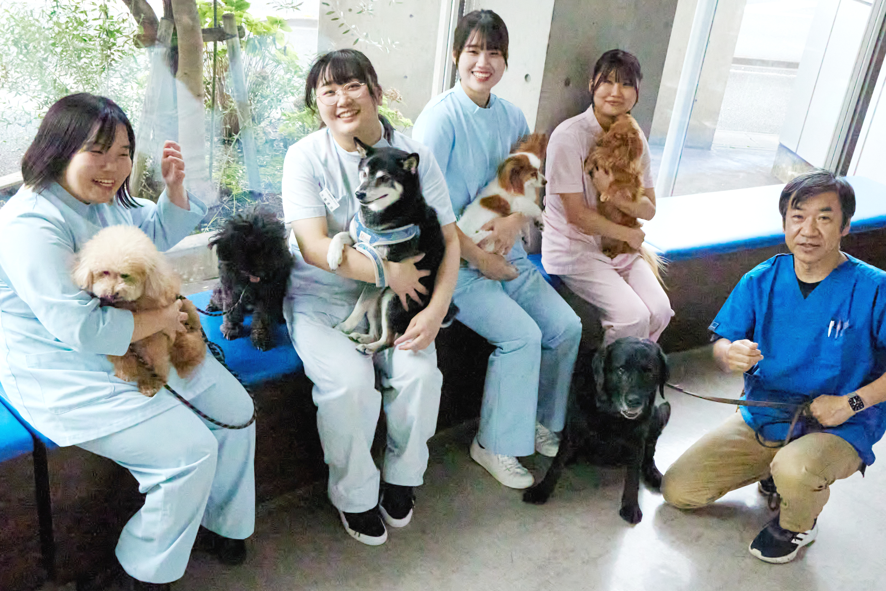 たまむら町 中野動物病院