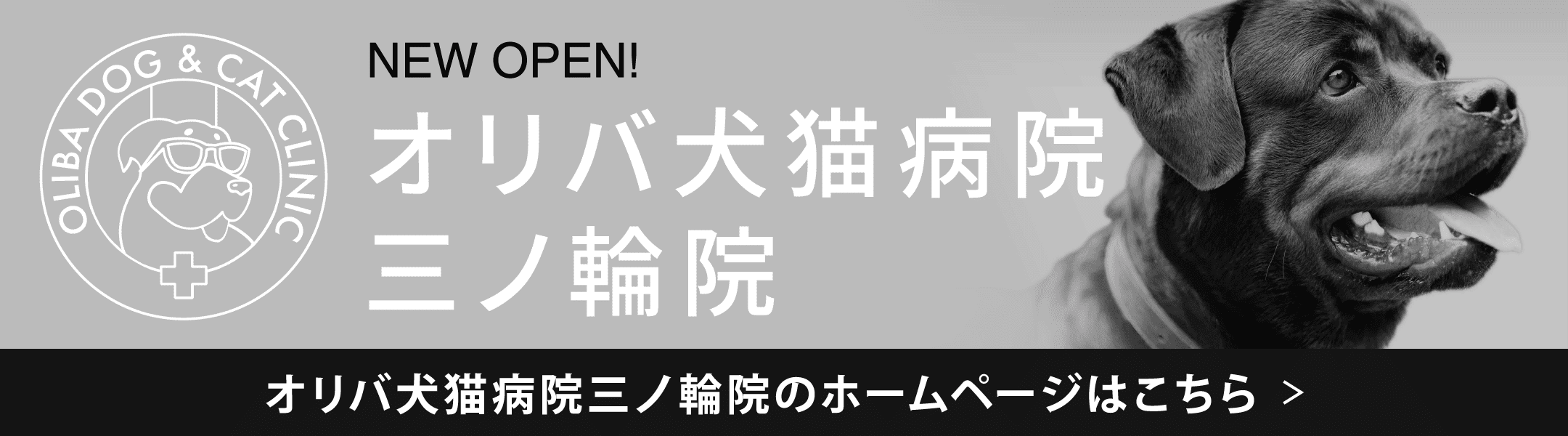 オリバ犬猫病院
