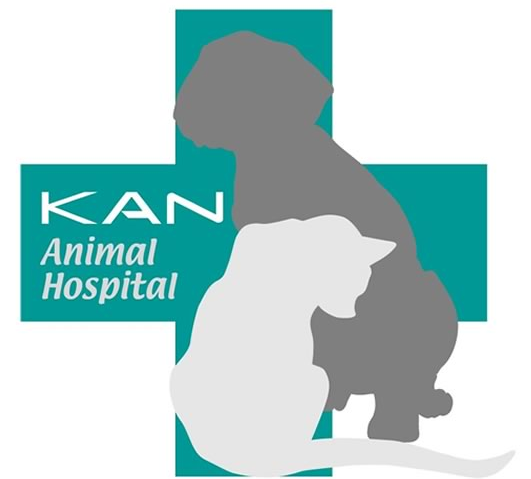 かん犬猫病院