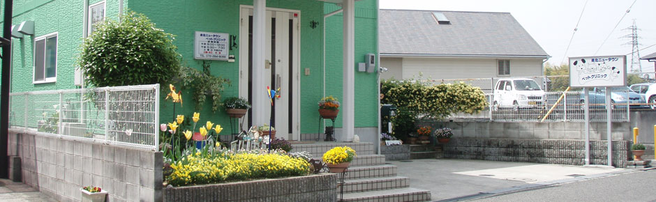 泉北ニュータウンペットクリニック