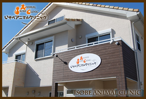 いそべアニマルクリニック