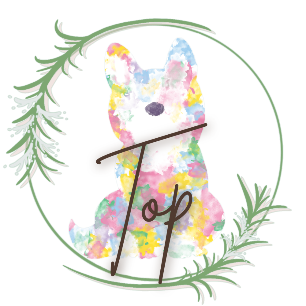 宮古島の出張ドッ...