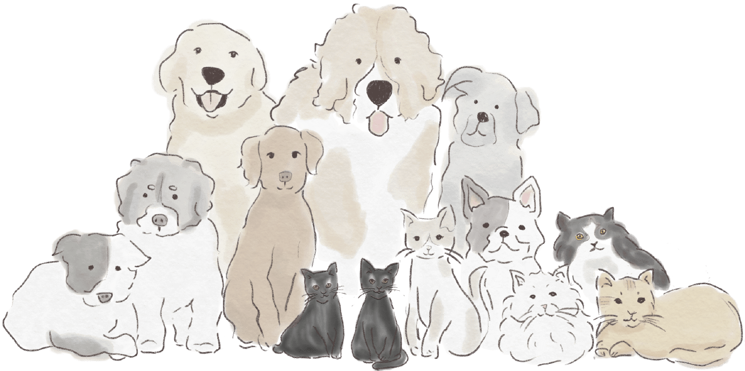 さいと動物病院