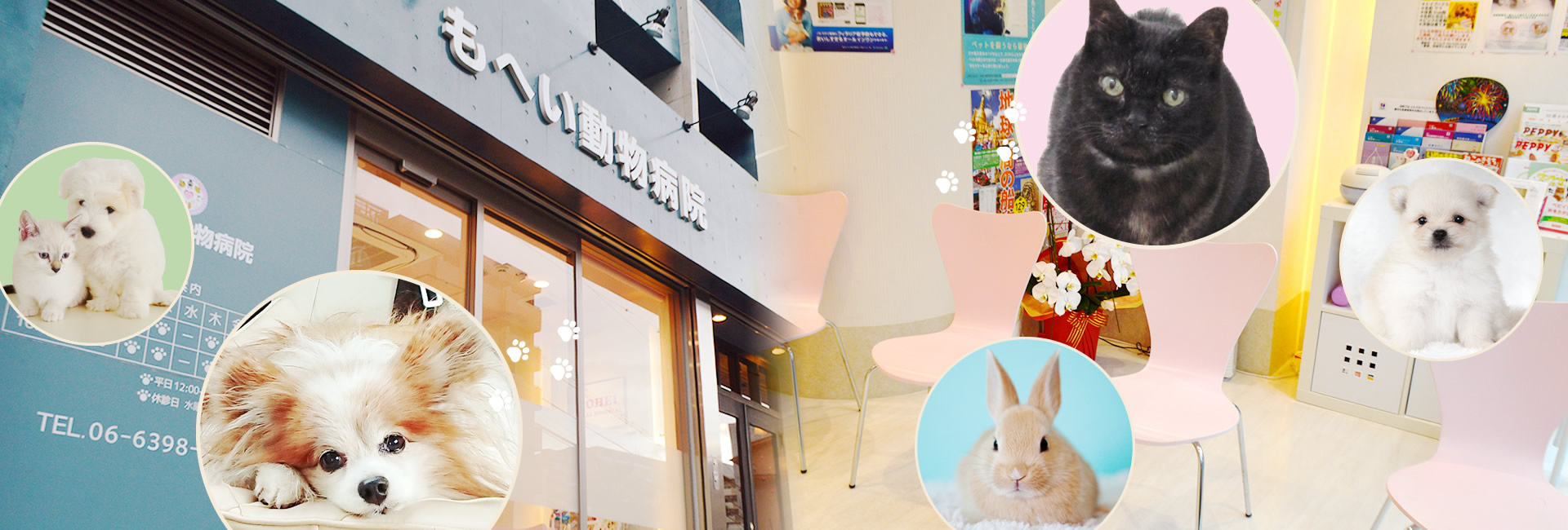 もへい動物病院