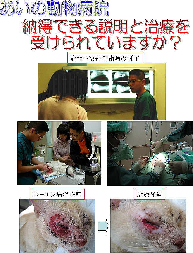 あいの動物病院