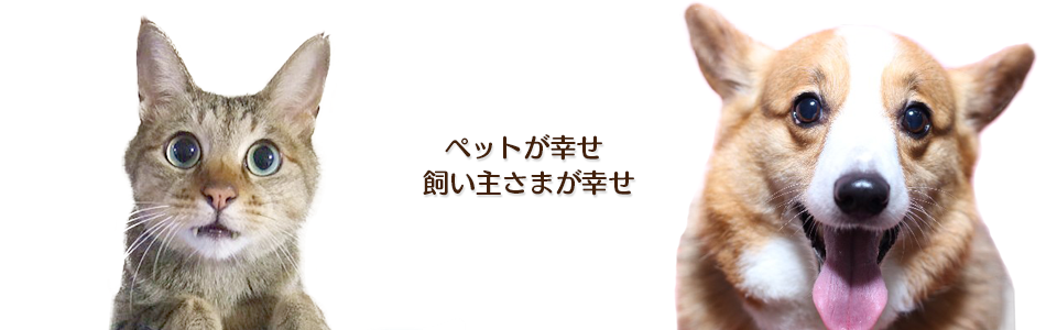 くるみ動物病院