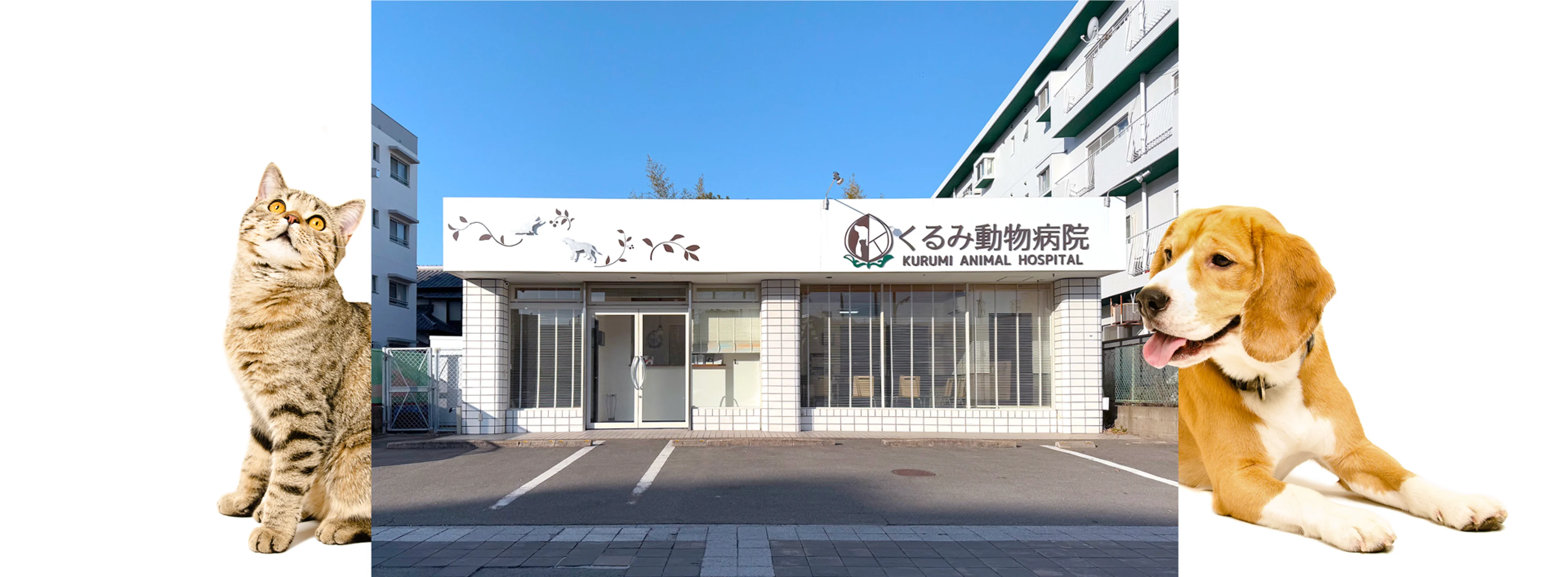 くるみ動物病院