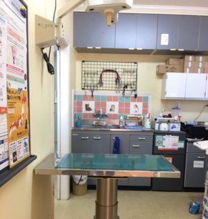 パークマイヤー動物病院