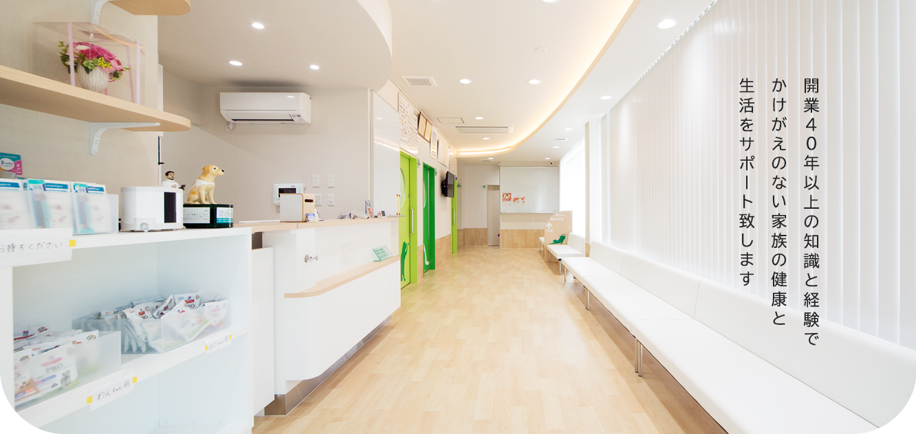 希望ヶ丘動物病院