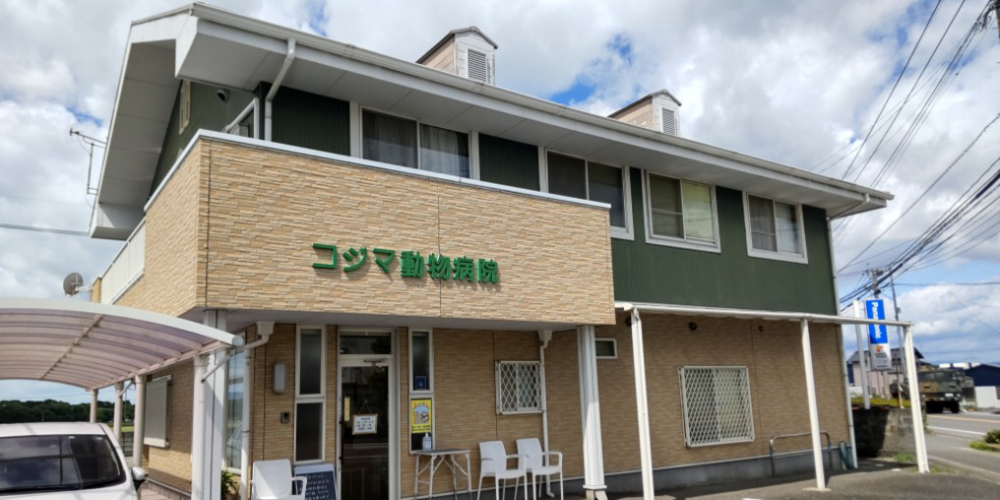 コジマ動物病院