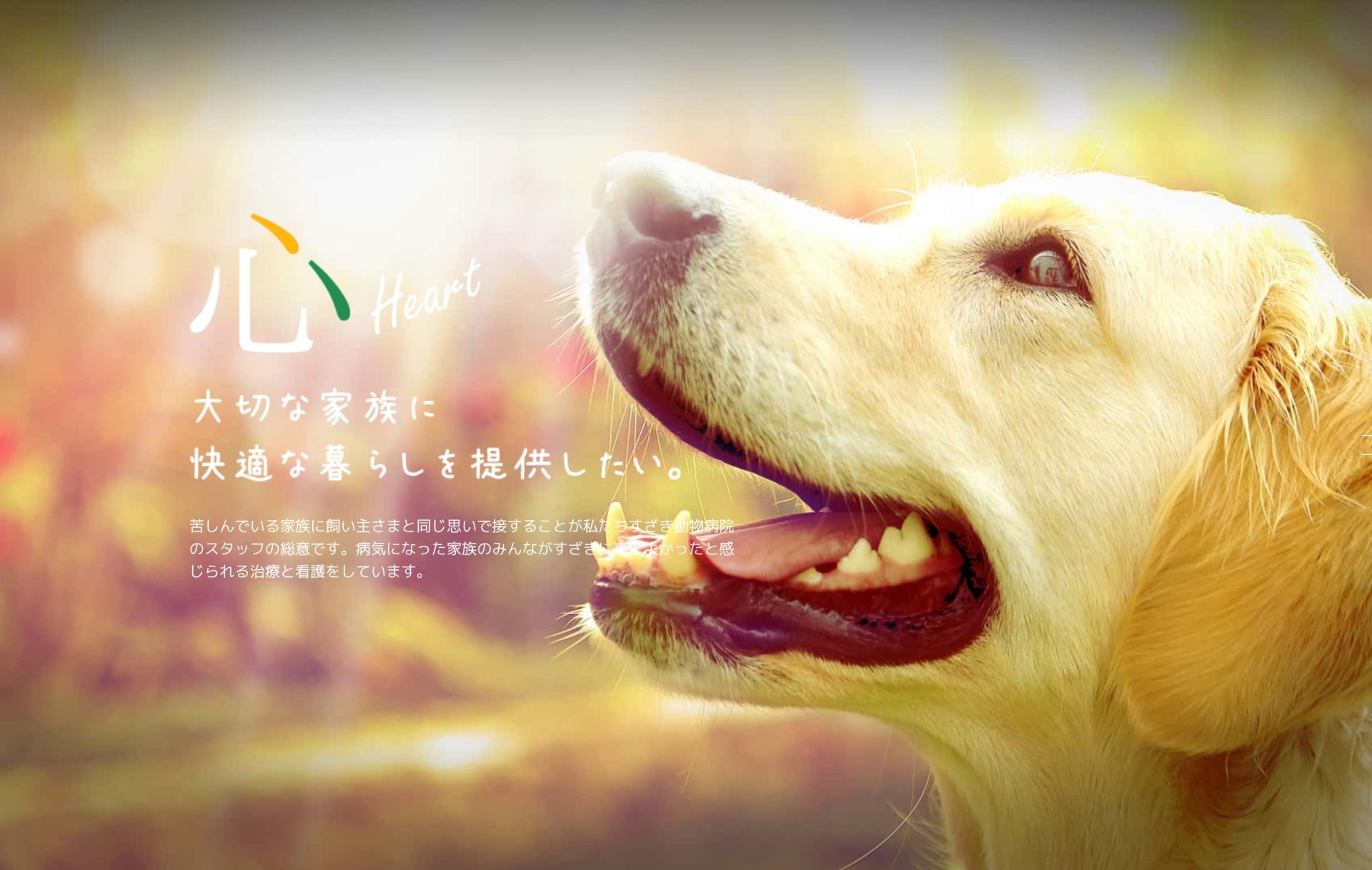 すざき動物病院