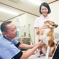 みやけ動物病院