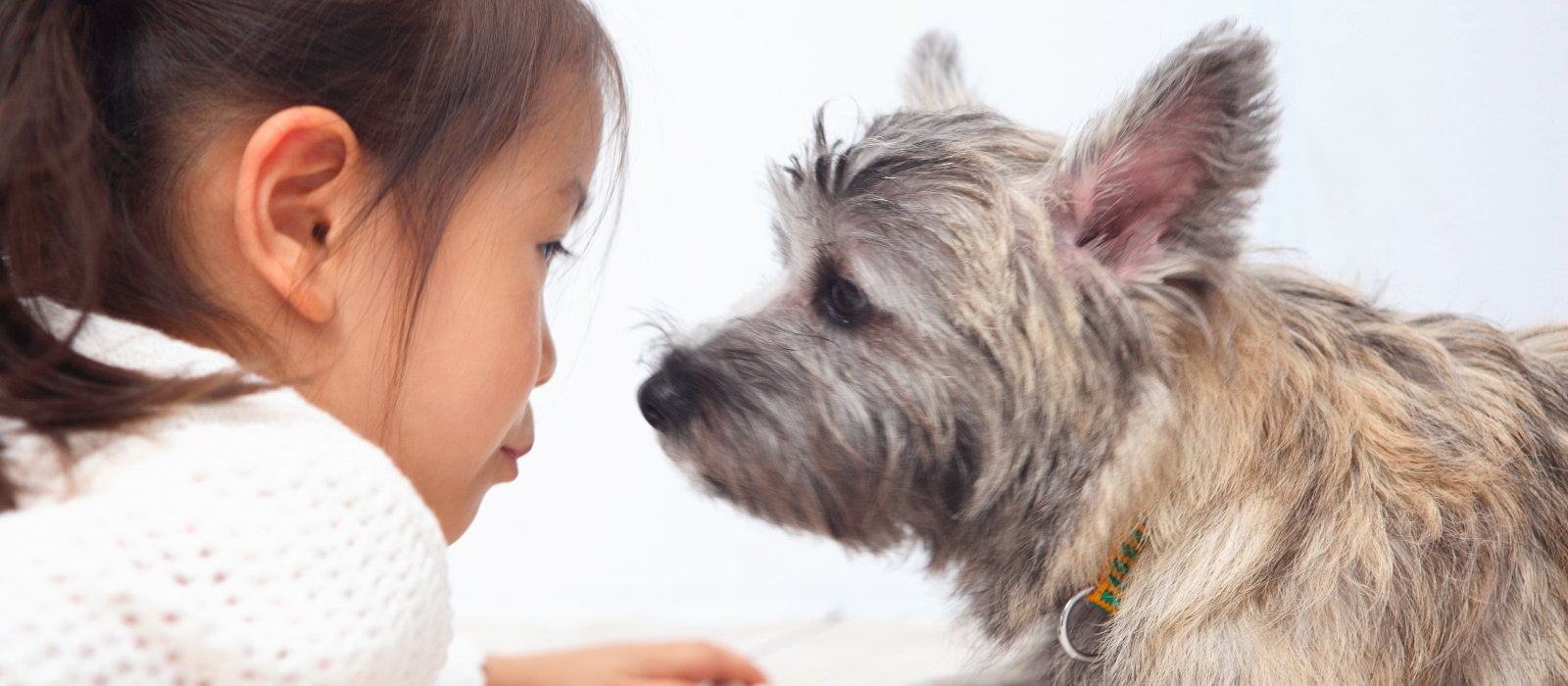 おぎの動物病院