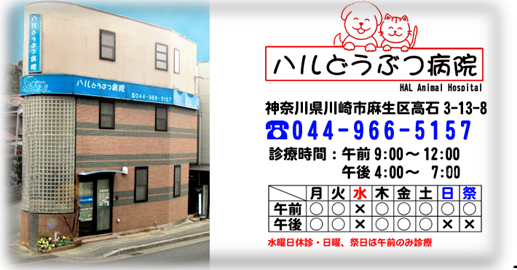 ハルどうぶつ病院