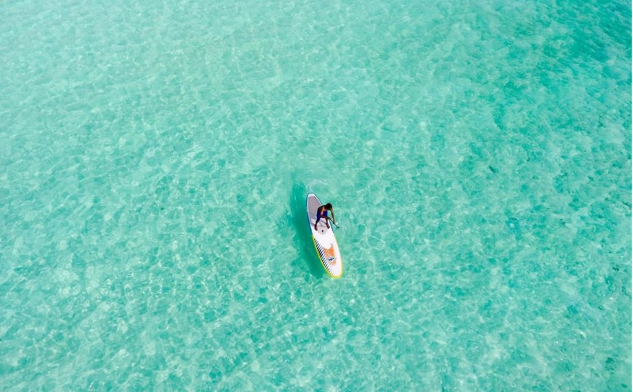 中央台犬と猫の病院