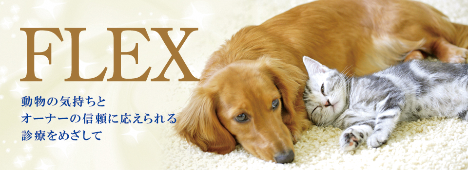 可児フレックス動物病院