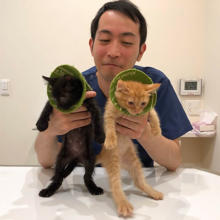 いつつぼし動物病院