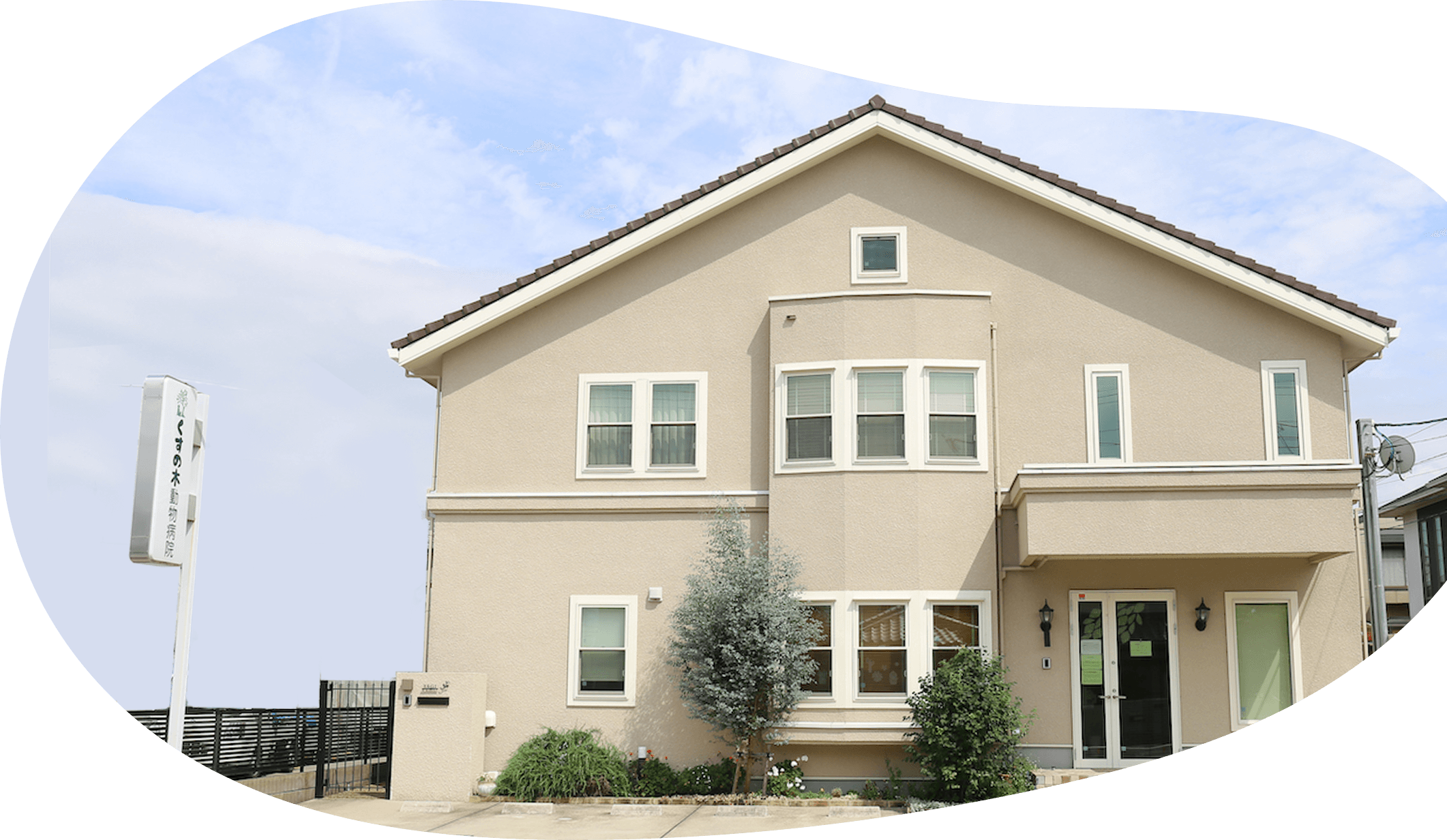 くすの木動物病院