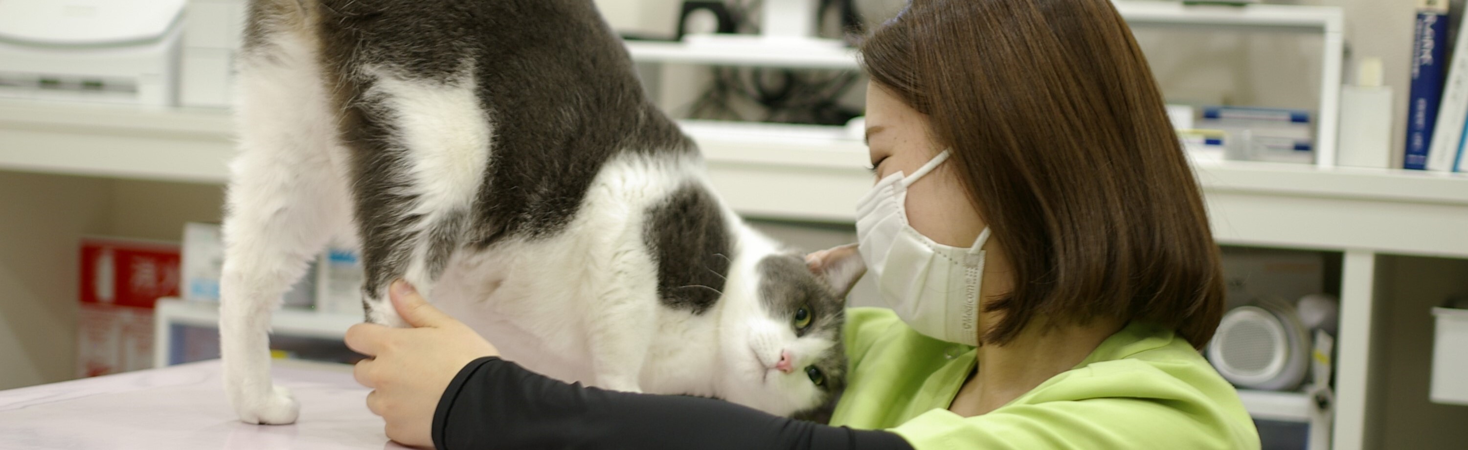 よしだ動物病院