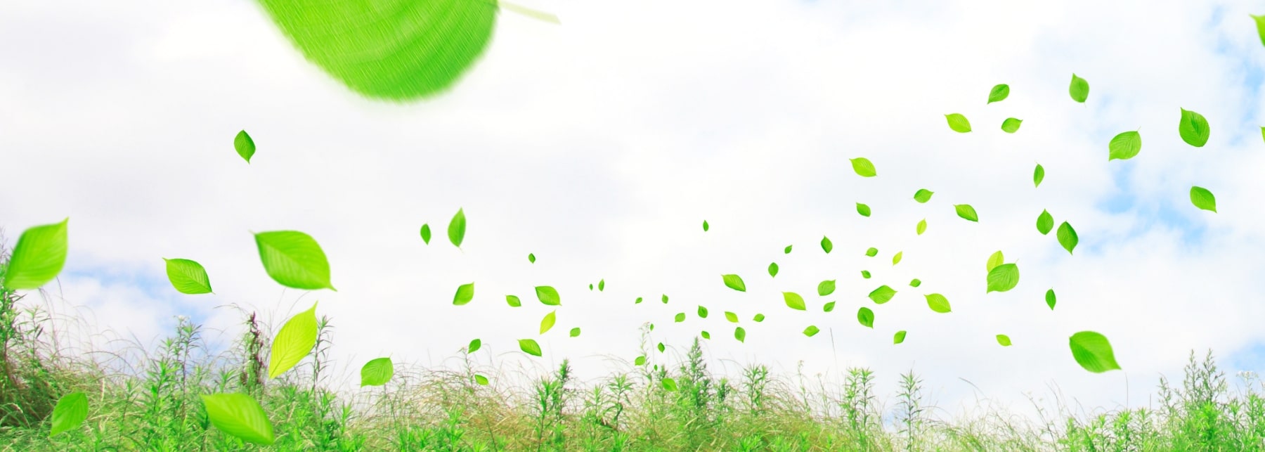 犬・猫の呼吸器科