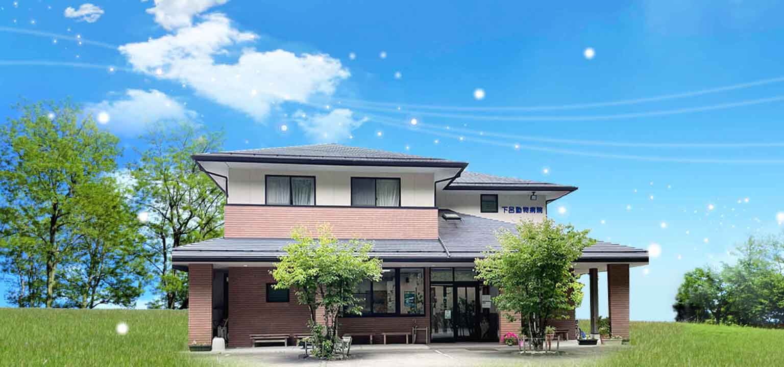 下呂動物病院