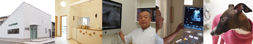 よしかわ動物病院