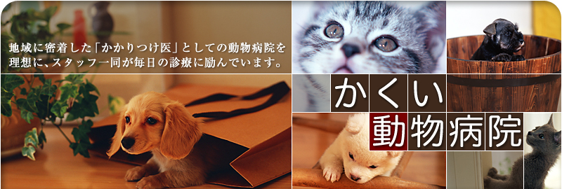 かくい動物病院