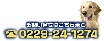 末永動物病院