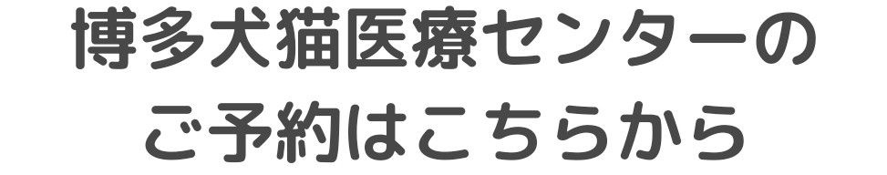 博多犬猫医療センター