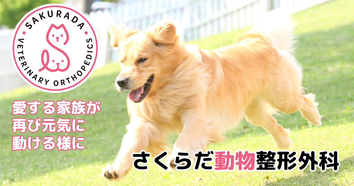 さくらだ動物病院