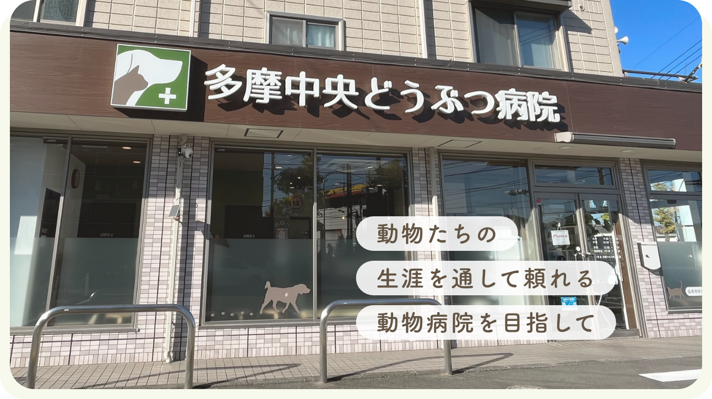 多摩中央どうぶつ病院
