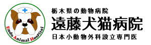 遠藤犬猫病院