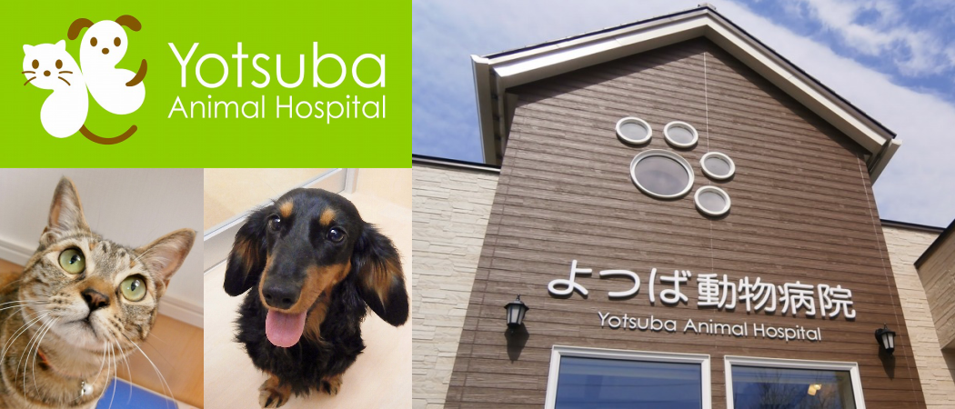 よつば動物病院
