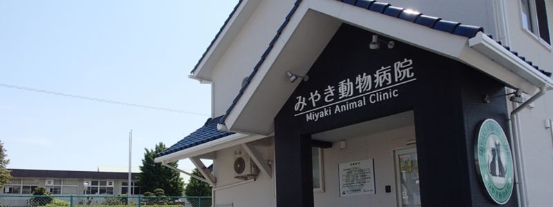 みやき動物病院