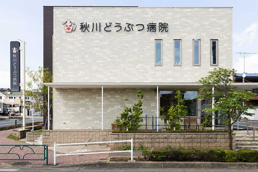 秋川どうぶつ病院