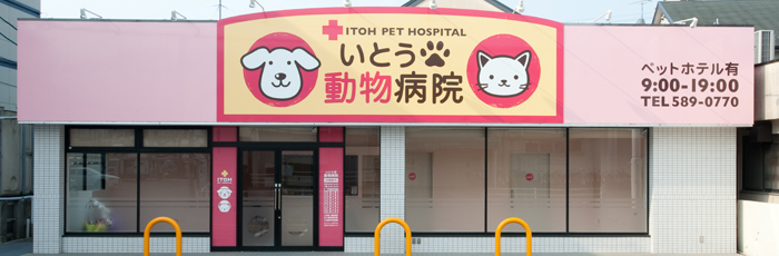 いとう動物病院