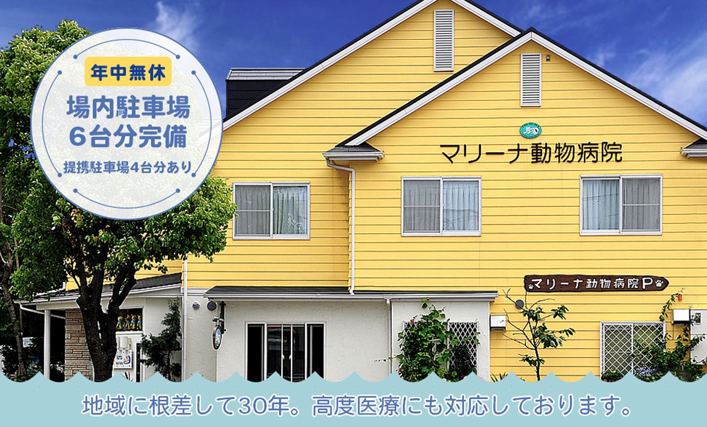 マリーナ動物病院