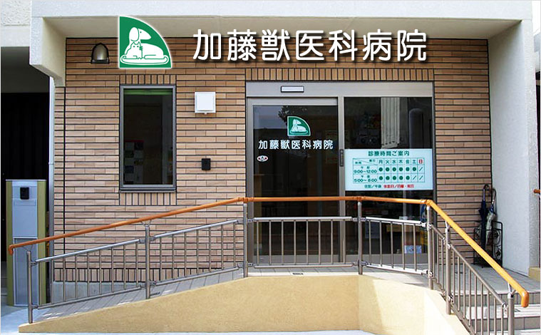 加藤獣医科病院