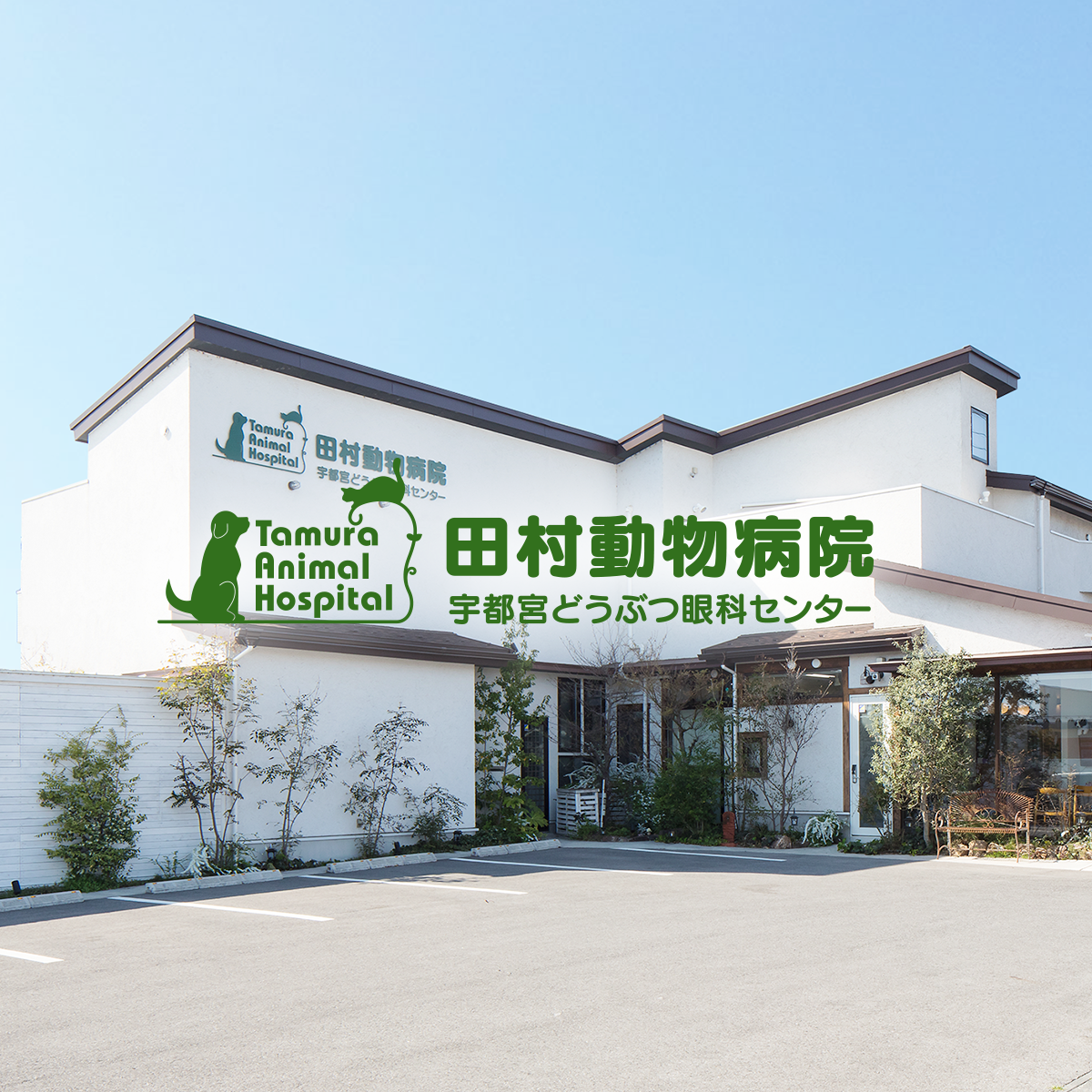 田村動物病院