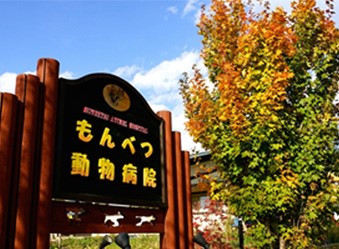 もんべつ動物病院