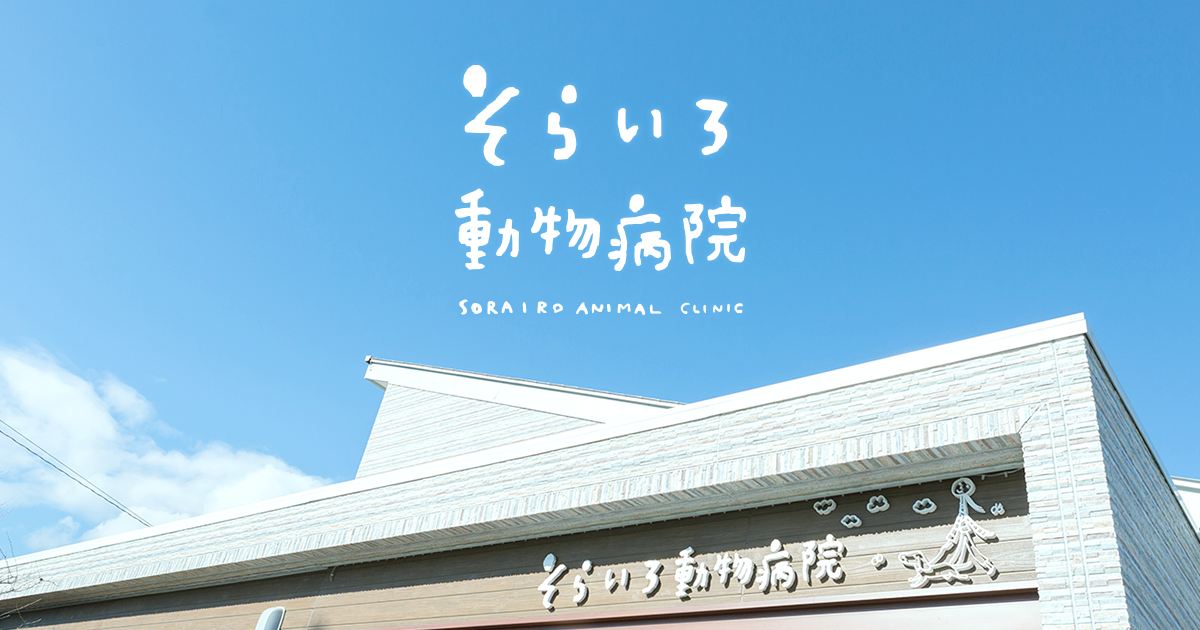 そらいろ動物病院