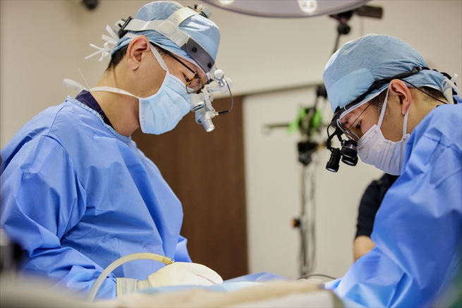 仙台獣医師会 総合どうぶつ病院