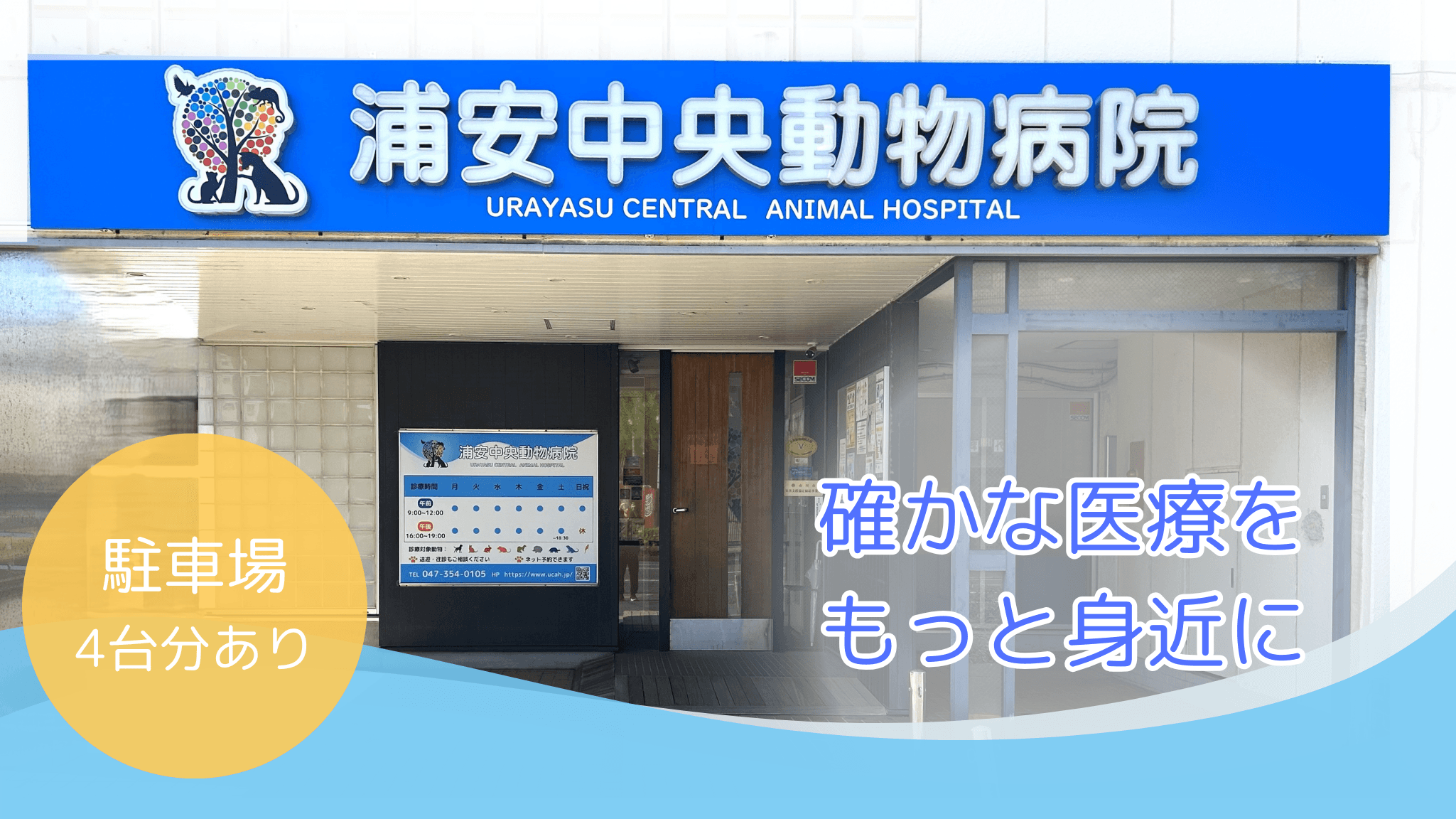 浦安中央動物病院