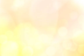 あだち動物病院