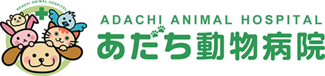 あだち動物病院