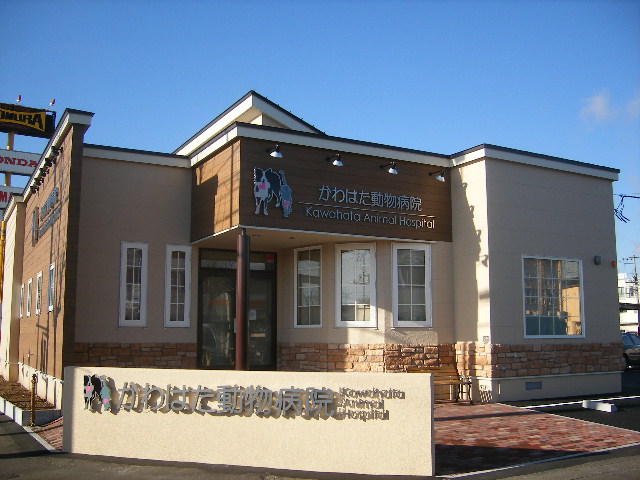 かわはた動物病院
