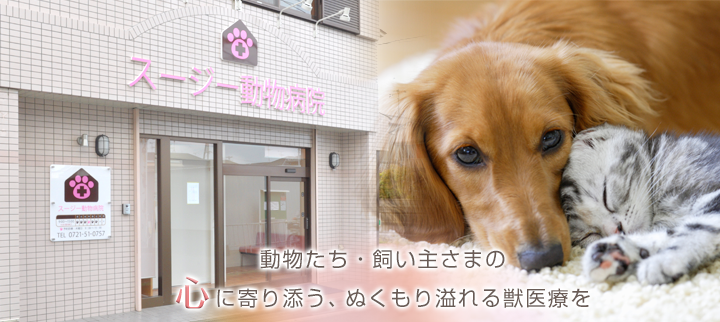 スージー動物病院